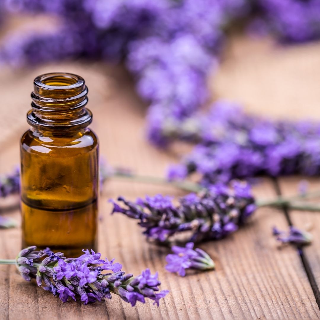 How To Utilize The Benefits Of Lavender Essential Oils Self Verve